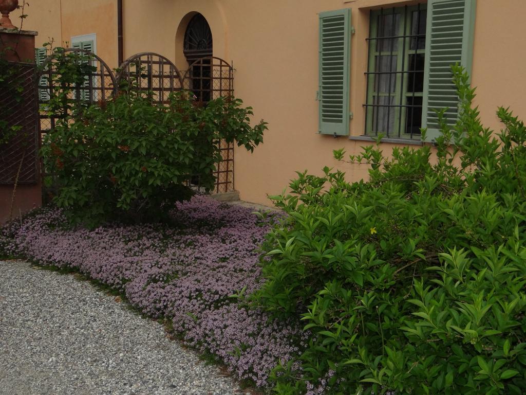 B&B Il Quadrifoglio Sciolze Экстерьер фото